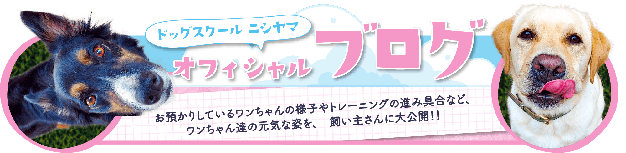 ドッグスクールニシヤマ オフィシャルブログ「お預かりしているワンちゃんの様子やトレーニングの進み具合など、ワンちゃん達の元気な姿を、飼い主さんに大公開!!」